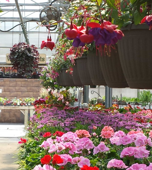 About Us Horning's Greenhouse