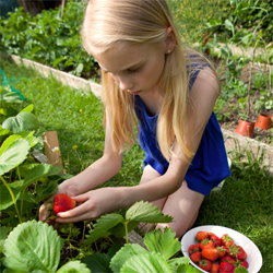 childgardener_1